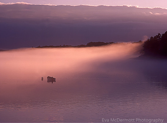 In a Fog