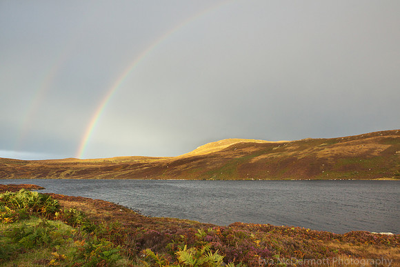 Double Rainbow II