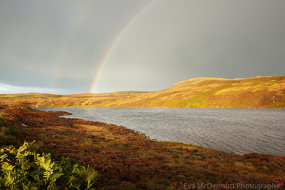 Double Rainbow