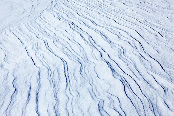 Lines in the Snow