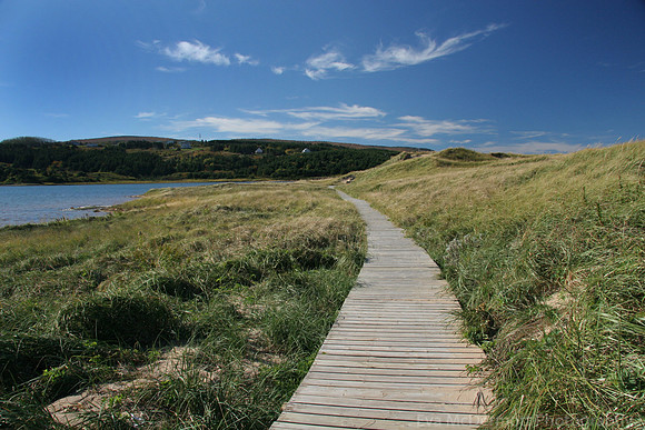 Boardwalk