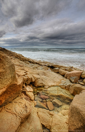 Rock Pool