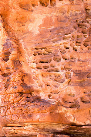 Canyon Wall with a Thousand Eyes II