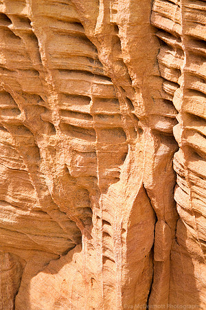 Nature's Scupture