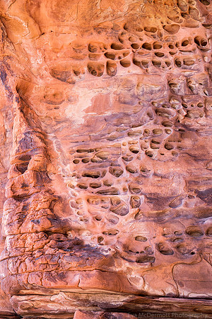 Canyon Wall with a Thousand Eyes