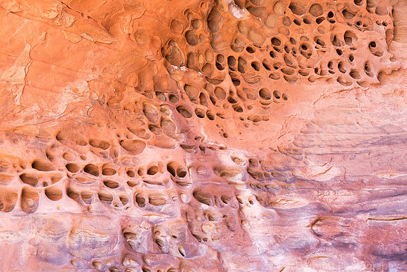 Wall of a Thousand Eyes