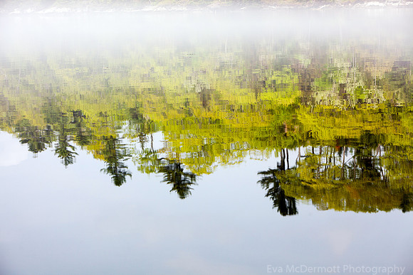 Foggy Reflection
