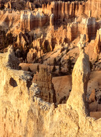 Hoodoos Bryce Canyon
