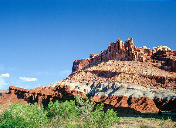 The Castle
