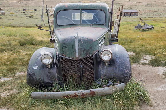 Put Out to Pasture