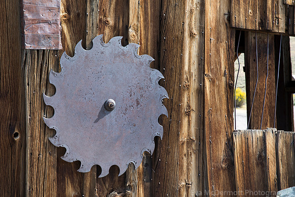 Saw Blade
