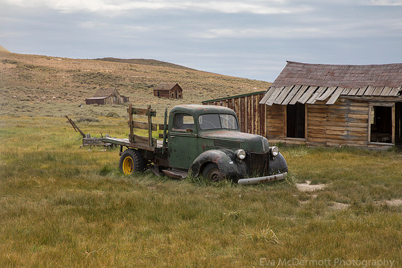 Abandoned Truck