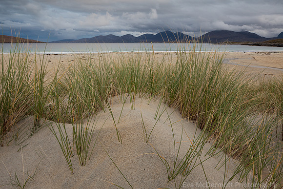 Grass, Mountains, Ocean