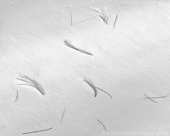 Needles