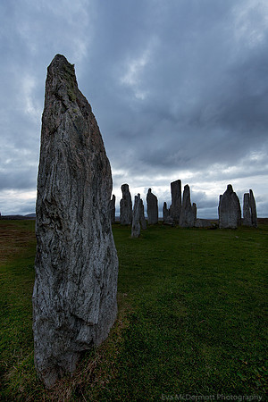 The Gathering