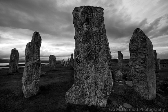 Eerie Silence B&W