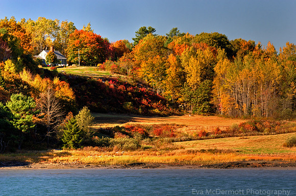 Glorious Autumn Day