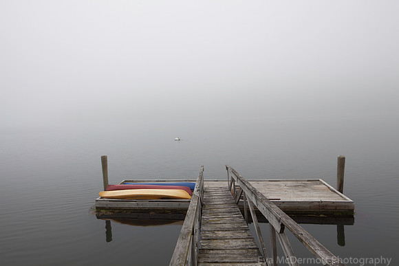 The Fog